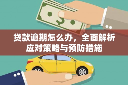 北部新区贷款逾期怎么办，全面解析应对策略与预防措施