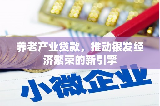 北部新区养老产业贷款，推动银发经济繁荣的新引擎