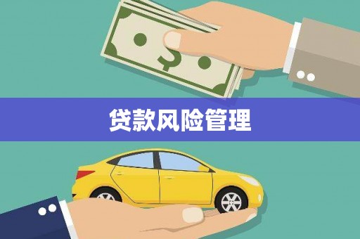 北部新区贷款风险管理