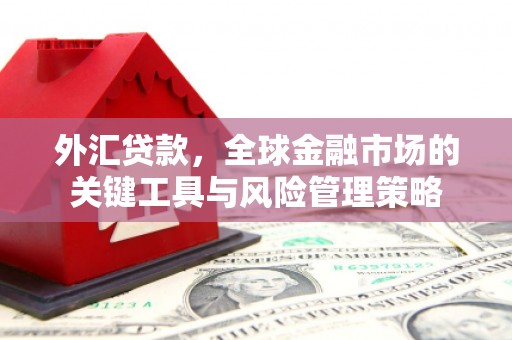 北部新区外汇贷款，全球金融市场的关键工具与风险管理策略
