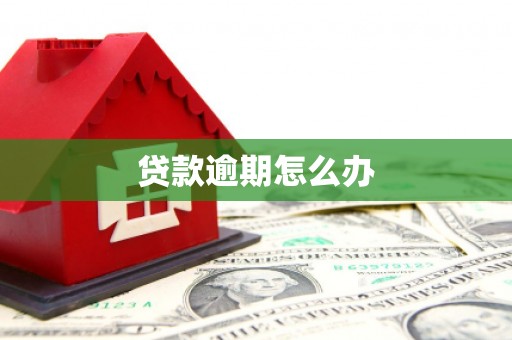 北部新区贷款逾期怎么办