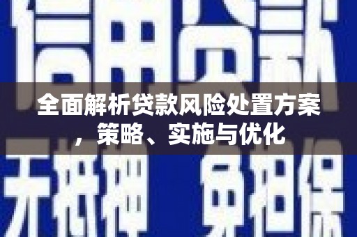 北部新区全面解析贷款风险处置方案，策略、实施与优化