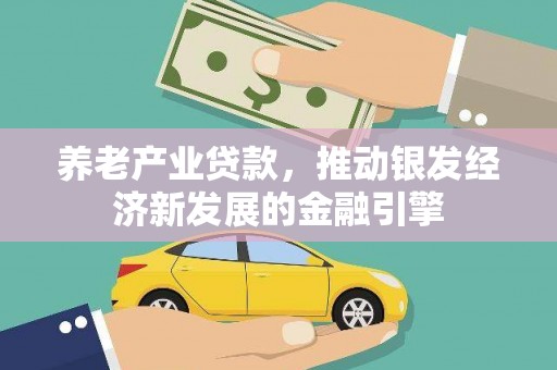北部新区养老产业贷款，推动银发经济新发展的金融引擎