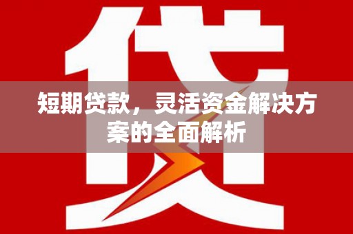 北部新区短期贷款，灵活资金解决方案的全面解析