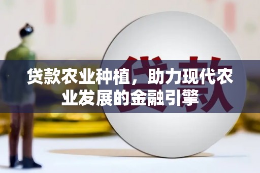 北部新区贷款农业种植，助力现代农业发展的金融引擎
