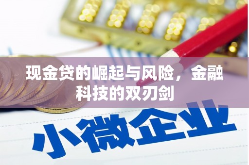 北部新区现金贷的崛起与风险，金融科技的双刃剑