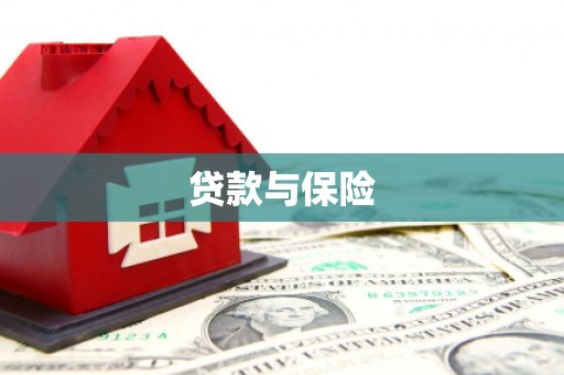 北部新区贷款与保险