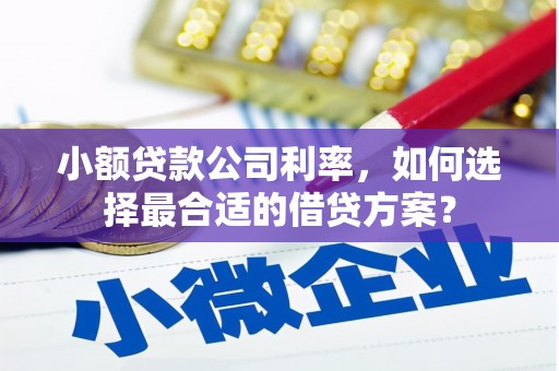 北部新区小额贷款公司利率，如何选择最合适的借贷方案？