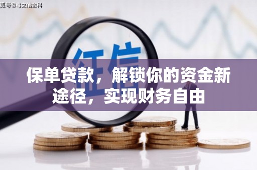北部新区保单贷款，解锁你的资金新途径，实现财务自由