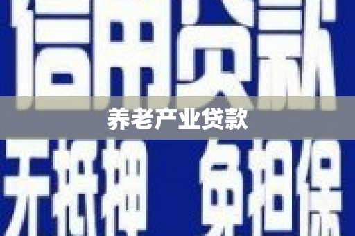 北部新区养老产业贷款