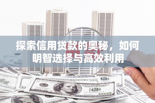 北部新区探索信用贷款的奥秘，如何明智选择与高效利用