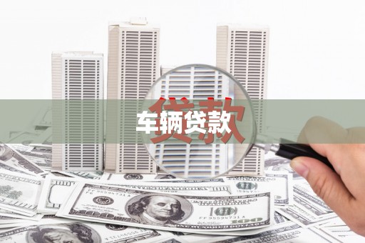 北部新区车辆贷款