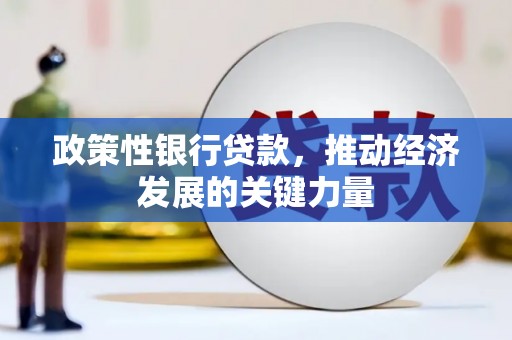北部新区政策性银行贷款，推动经济发展的关键力量