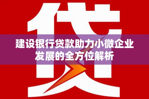 北部新区建设银行贷款助力小微企业发展的全方位解析