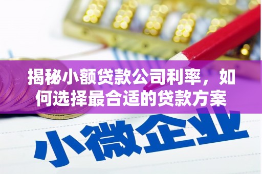 北部新区揭秘小额贷款公司利率，如何选择最合适的贷款方案