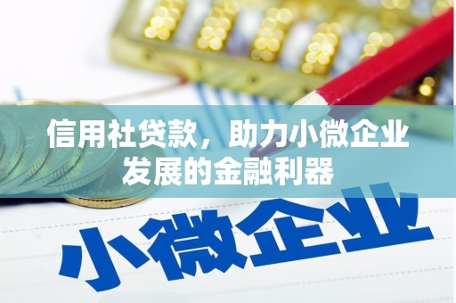 北部新区信用社贷款，助力小微企业发展的金融利器