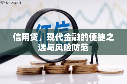 北部新区信用贷，现代金融的便捷之选与风险防范