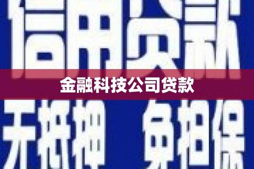 北部新区金融科技公司贷款