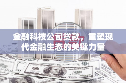 北部新区金融科技公司贷款，重塑现代金融生态的关键力量