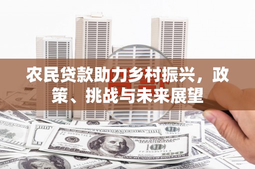北部新区农民贷款助力乡村振兴，政策、挑战与未来展望