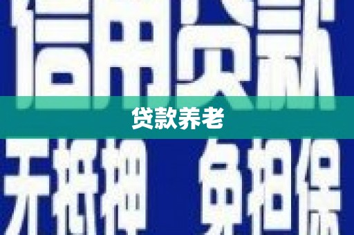 北部新区贷款养老