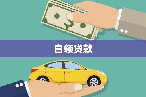 北部新区白领贷款