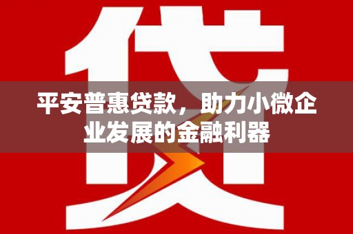 北部新区平安普惠贷款，助力小微企业发展的金融利器
