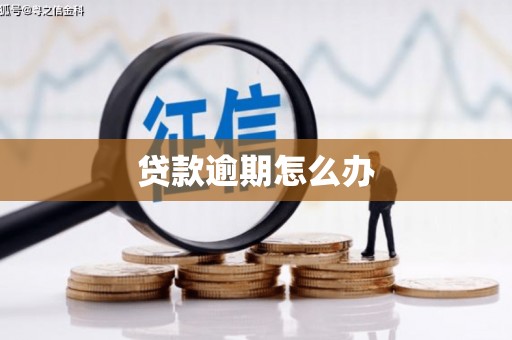 北部新区贷款逾期怎么办