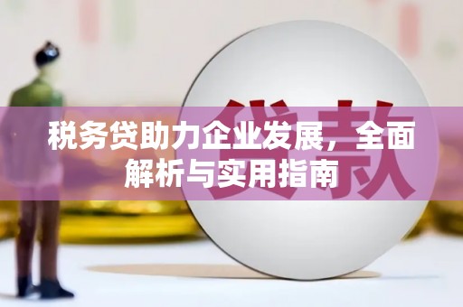 北部新区税务贷助力企业发展，全面解析与实用指南
