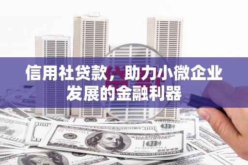 北部新区信用社贷款，助力小微企业发展的金融利器