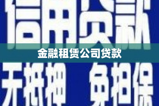 北部新区金融租赁公司贷款