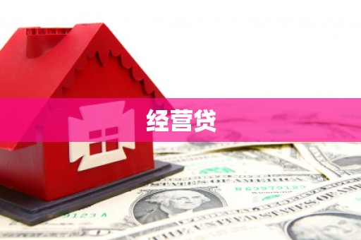 北部新区经营贷