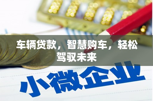 北部新区车辆贷款，智慧购车，轻松驾驭未来
