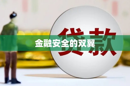 北部新区金融安全的双翼