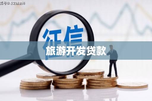 北部新区旅游开发贷款