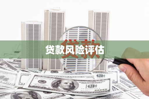 北部新区贷款风险评估