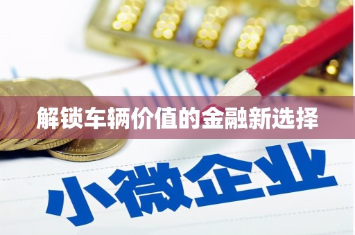 北部新区解锁车辆价值的金融新选择