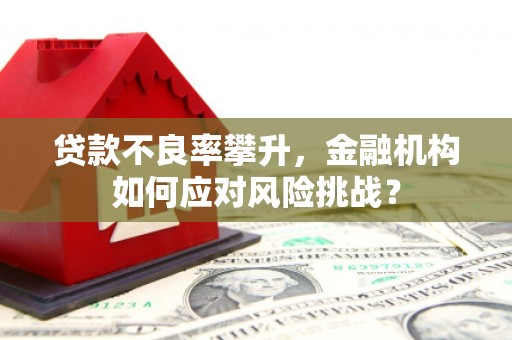 北部新区贷款不良率攀升，金融机构如何应对风险挑战？