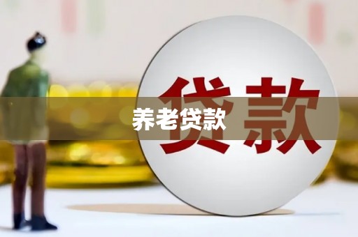 北部新区养老贷款