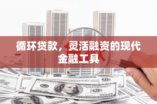 北部新区循环贷款，灵活融资的现代金融工具