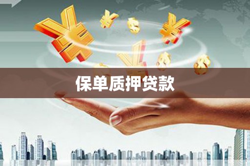 北部新区保单质押贷款