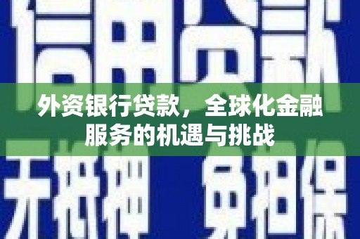 北部新区外资银行贷款，全球化金融服务的机遇与挑战