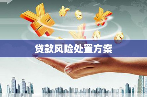 北部新区贷款风险处置方案