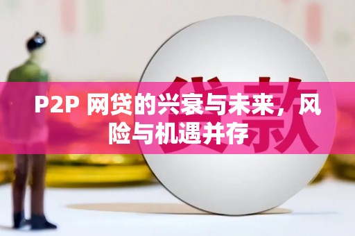 北部新区P2P 网贷的兴衰与未来，风险与机遇并存
