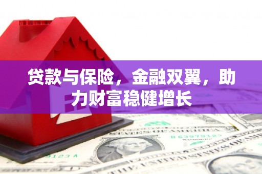 北部新区贷款与保险，金融双翼，助力财富稳健增长
