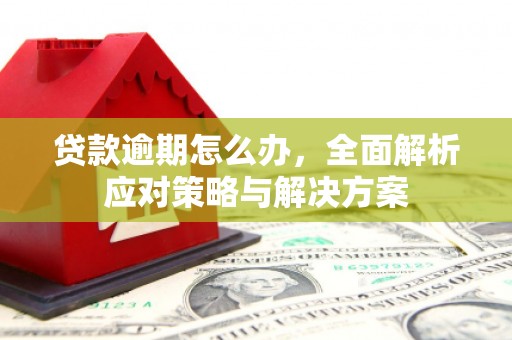北部新区贷款逾期怎么办，全面解析应对策略与解决方案