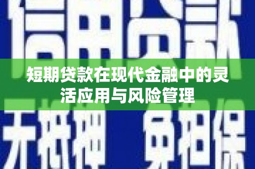 北部新区短期贷款在现代金融中的灵活应用与风险管理