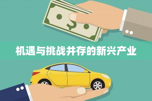 北部新区机遇与挑战并存的新兴产业