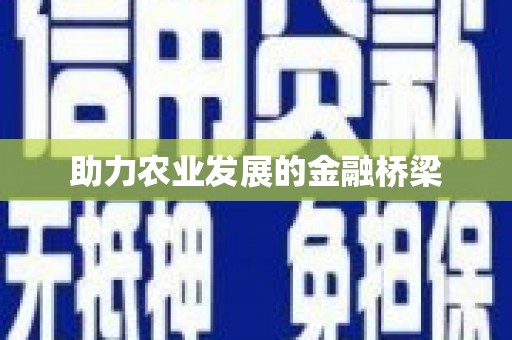北部新区助力农业发展的金融桥梁