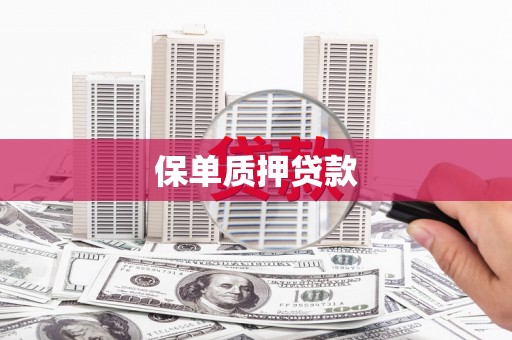 北部新区保单质押贷款